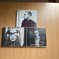 David Gray  CD selection x 3