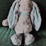 Grey Bunny Image 5