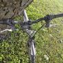 bicycle Image 6