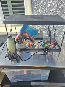 Free Fish Tank