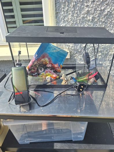 Free Fish Tank