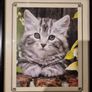 Christ died for our sins cat Image 2