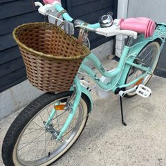 18'' bike