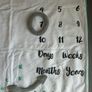 milestone baby blanket Image 2