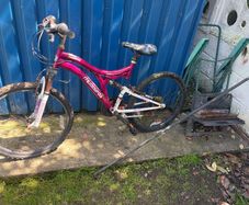 bicycle free