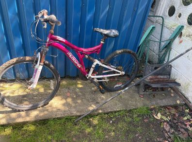 bicycle free