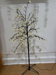 Illuminated tree.