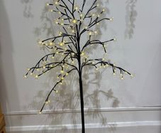 Illuminated tree.