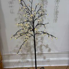 Illuminated tree.