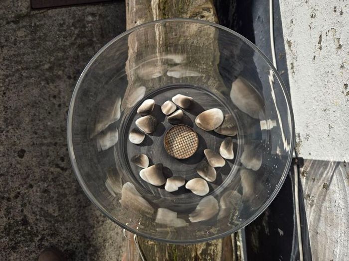 Planika Chantico indoor/outdoor biofuel fire