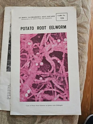 1960s Department Of Agricultural Booklets On Farming. Topics Such As Patato Growing,planting Forest Trees,desease Control And Others. In Good Condition.  See Photos For Same.