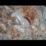 breast pump Image 3