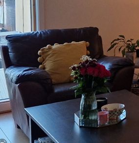Sofa & Armchair