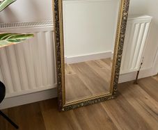 Golden Mirror
