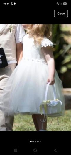 flower girl dress