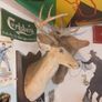 deers head Image 8