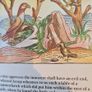 Esops Fables In William Caxtons Original  Illustrated  Edition. Edited By Bambe And Christian A Gascoine. Hardback With Dustjacket In Very Good Condition. Image 10
