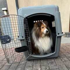 Sky Kennel / Travel Crate
