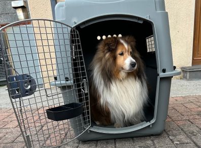 Sky Kennel / Travel Crate