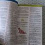Fallon's Oxford Childrens Dictionary Image 5