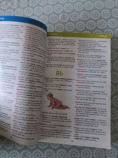 Fallon's Oxford Childrens Dictionary