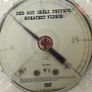 Red Hot chilli Peppers Greatest Hits and Videos CD & DVD Image 3