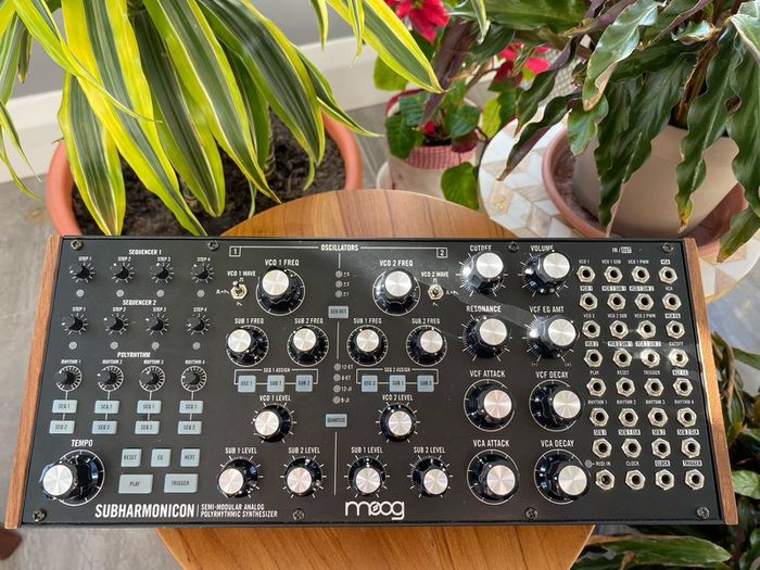 Moog Subharmonicon