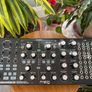 Moog Subharmonicon Image 3