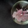 Glass paperweight with pink flower design Image 5