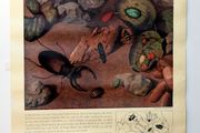 Vintage 1950's Shell Nature Study Beetles poster