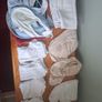 Newborn bundle Image 2