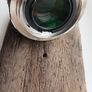 Nikon Ais Nikkor 50mm F1.4 Image 8