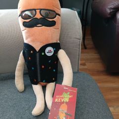 Kevin teddy Brand New