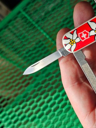 Vintage Wenger Esquire 65mm Swiss Army Knife Discontinued Collectable with Modern Delemont Victorinox Scales