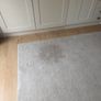 Ikea Rug Image 2