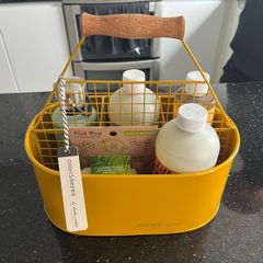 Helen James Considered cleaning caddy