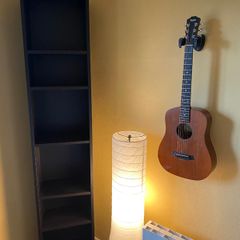 Billy Bookcase (Ikea) - Black