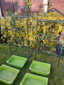 2x metal  garden shelving units + 4 x Ikea Trofast boxes