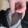 Adidas Runners please read Image 4