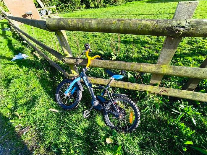 Champion bike