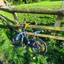 Champion bike Image 3