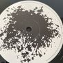 Sigur Ros - ( )   Untitled Image 8