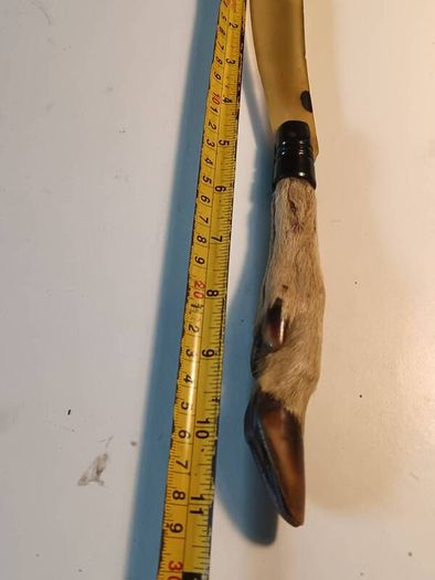 Mid Nineteenth Century Deer Hoof and Horn Page Turner