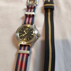 Vostok Amphibia