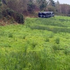 Silage Bales
