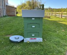 Bee hive