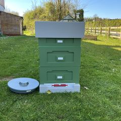 Bee hive