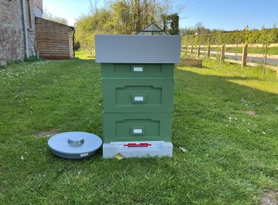 Bee hive