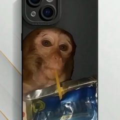 Monkey drinking capri sun phone case