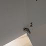 Kleppstad Ikea 3 door wardrobe with light Image 5